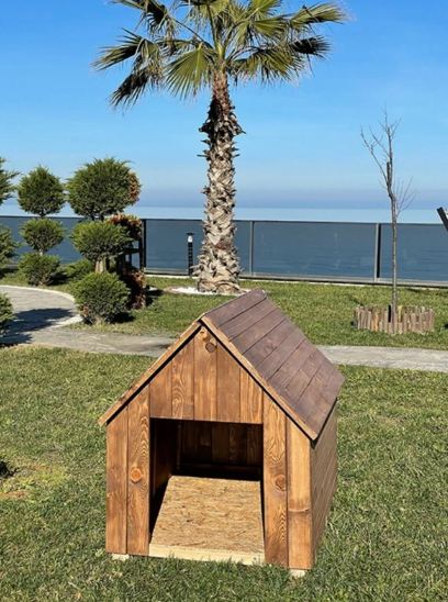 Hükümdar%20Ahşap%20Köpek%20kulübesi