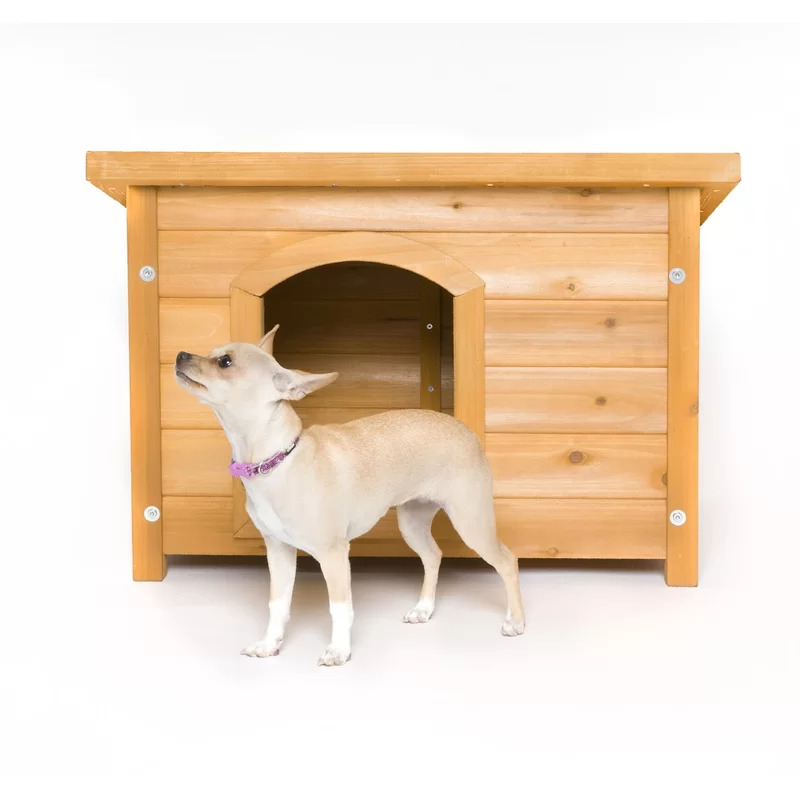 Hükümdar%20c1%20Ahşap%20Köpek%20kulübesi