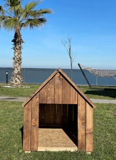 Hükümdar Ahşap Köpek kulübesi